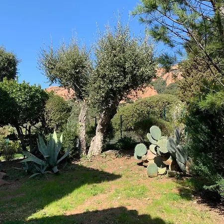 Villa Agay Reves De Rive