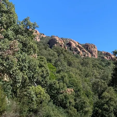 Agay Reves De Rive